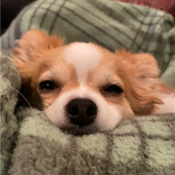 Meet your Posher, Brian - Picture 14 of 14